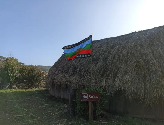 Gastronomía Mapuche Millaray