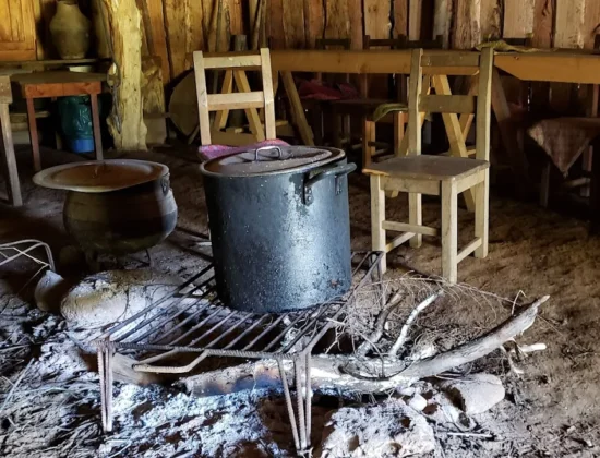 Gastronomía Mapuche Millaray