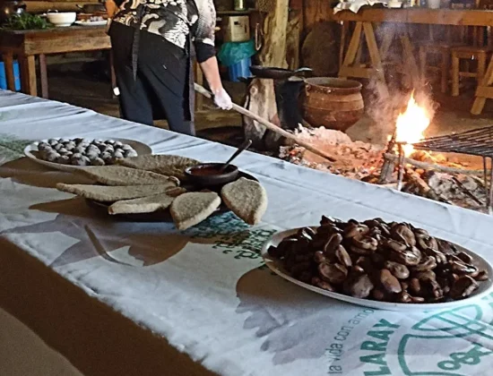 Gastronomía Mapuche Millaray